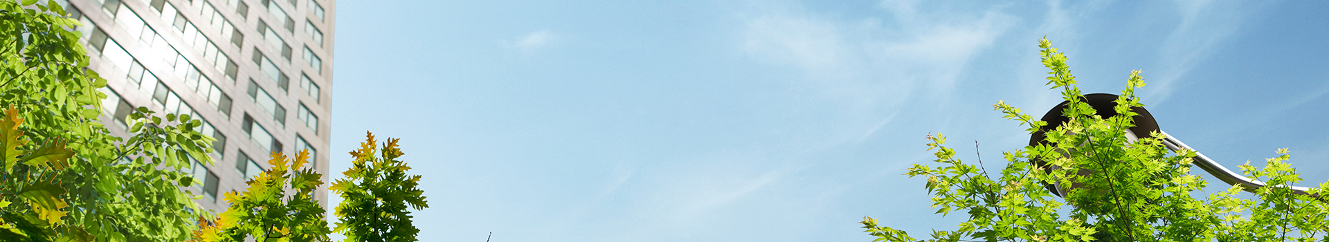 금용사다리차(거창이사) PC 비주얼 0